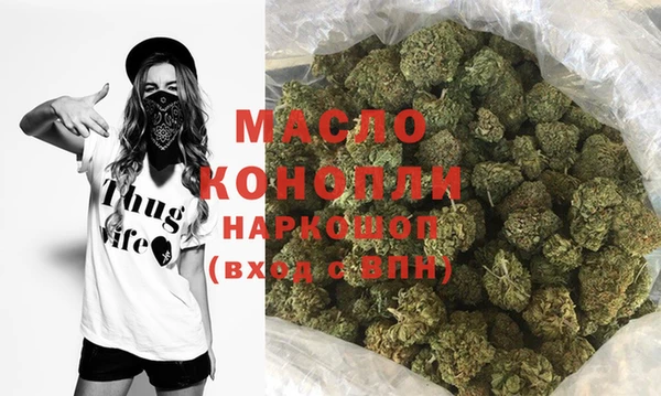 крисы Надым