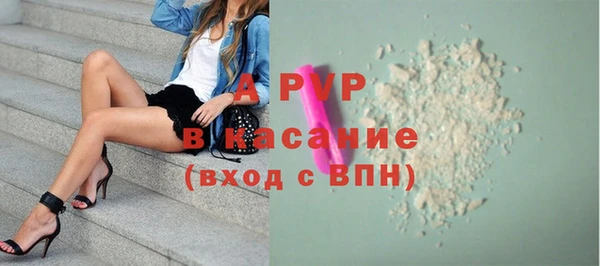 крисы Надым
