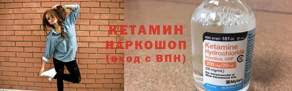 крисы Надым
