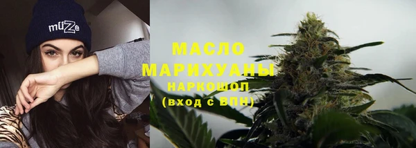 крисы Надым