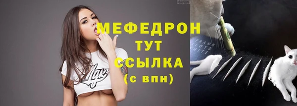 крисы Надым