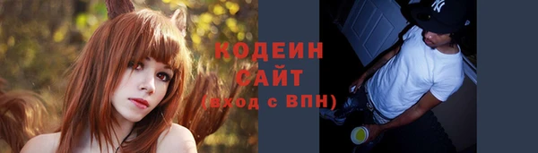 не бодяженный Ельня