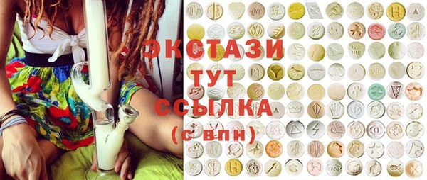 крисы Надым