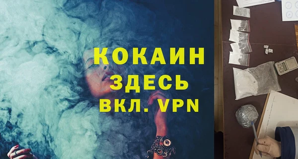 крисы Надым