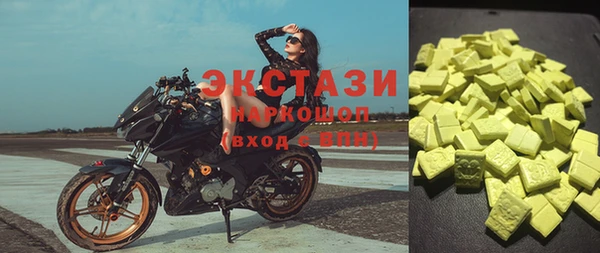 крисы Надым