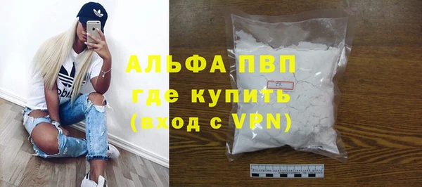 крисы Надым