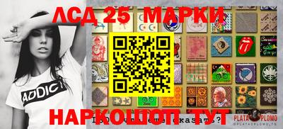 гашик Моздок