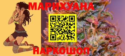 гашик Моздок