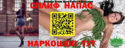 первитин Можга