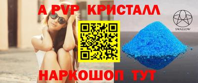 гашик Моздок