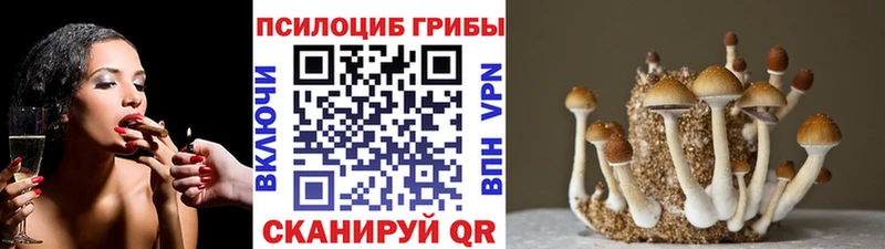 где продают   Пыть-Ях  Галлюциногенные грибы MAGIC MUSHROOMS 