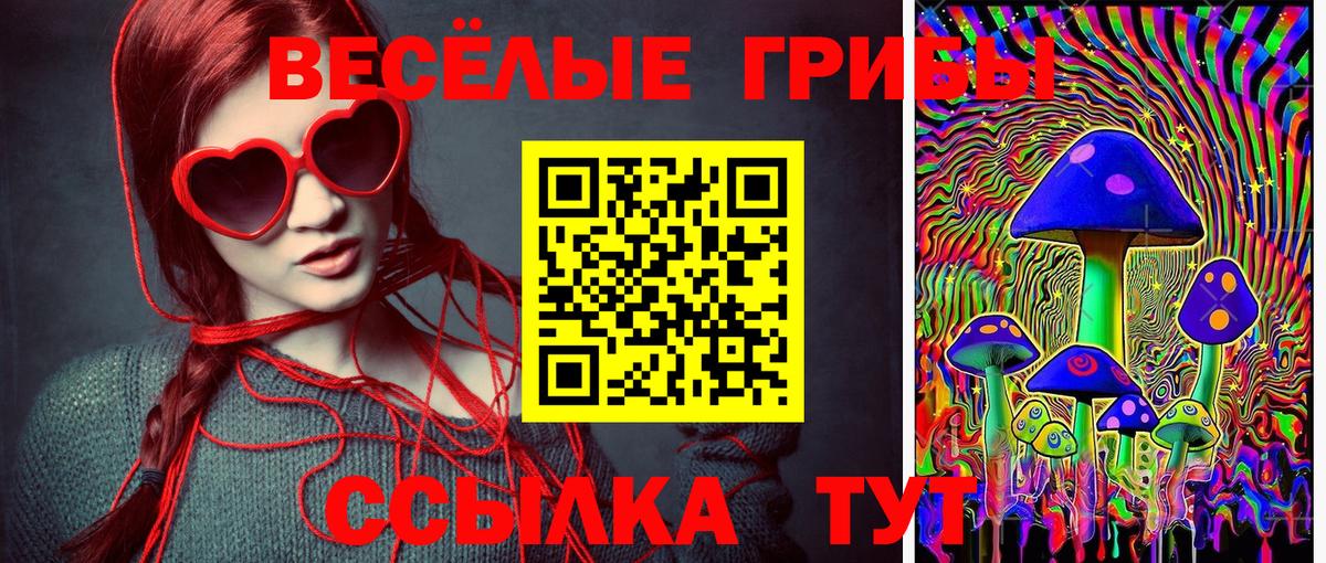 Псилоцибиновые грибы GOLDEN TEACHER Пыть-Ях
