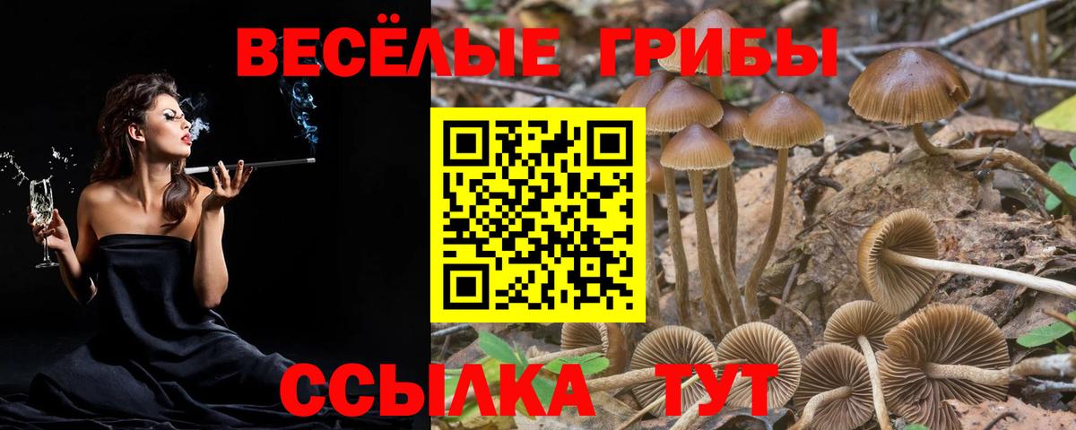 Псилоцибиновые грибы Psilocybine cubensis  цена наркотик  Пыть-Ях  Псилоцибиновые грибы Psilocybe  Вход с VPN 